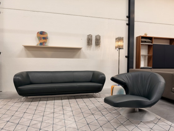 Leolux Flint 3.5-seater Sofa Raffino Turtle leather, 3-5 seaters, Green (photo 10 of 11)