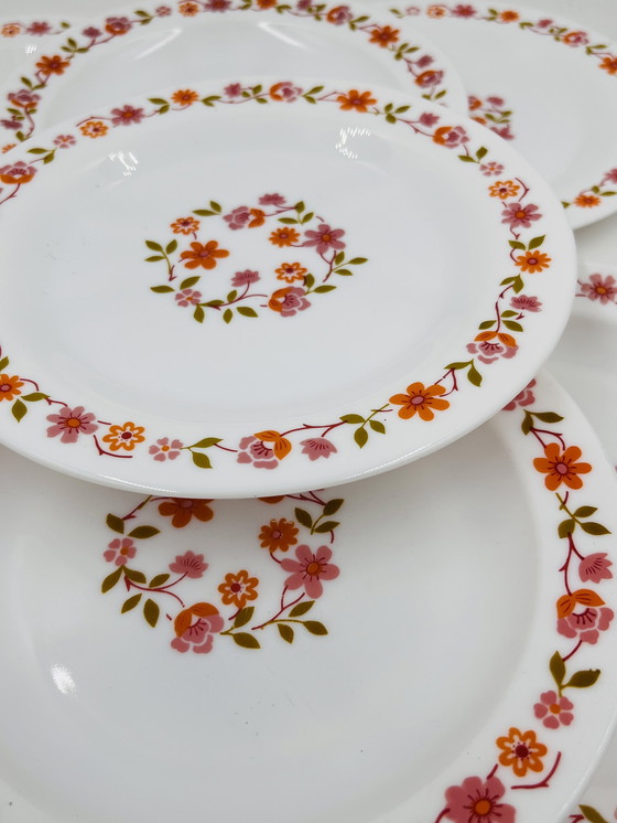 Image 1 of Juego de 10 platos de postre Scania