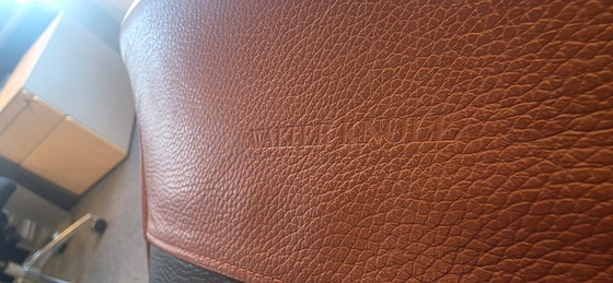 8 x Walter Knoll FK Sedie – Sedie girevoli, Pelle (photo 2 of 5)