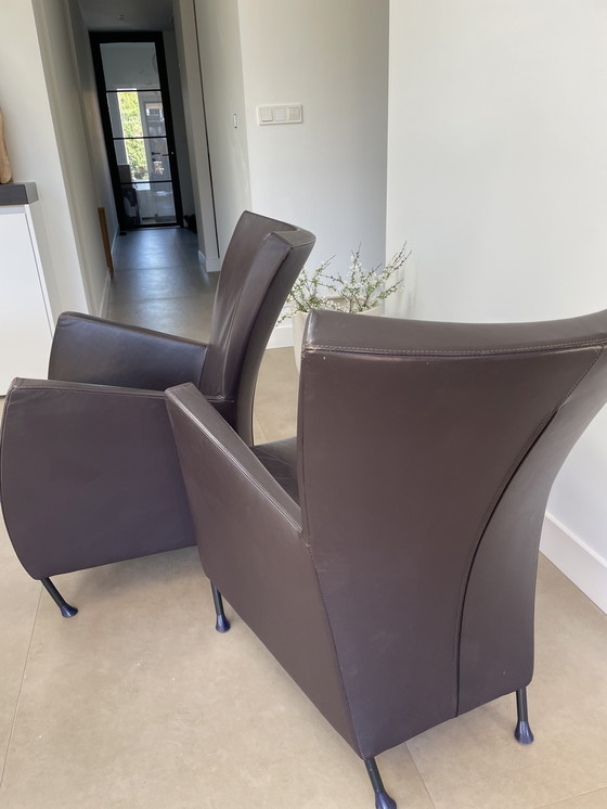 Image 1 of 2x Montis Windy Highland Leder Prune