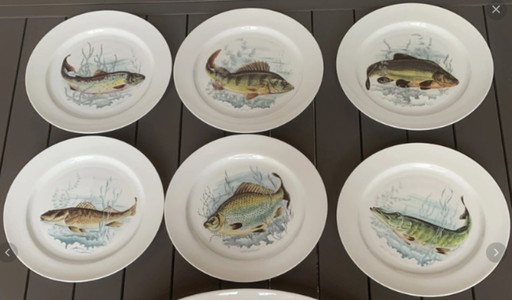 6 fish plates in genuine Limoges porcelain €72