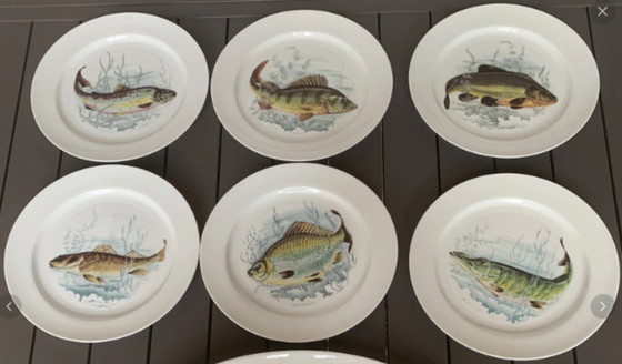 Image 1 of 6 fish plates in genuine Limoges porcelain