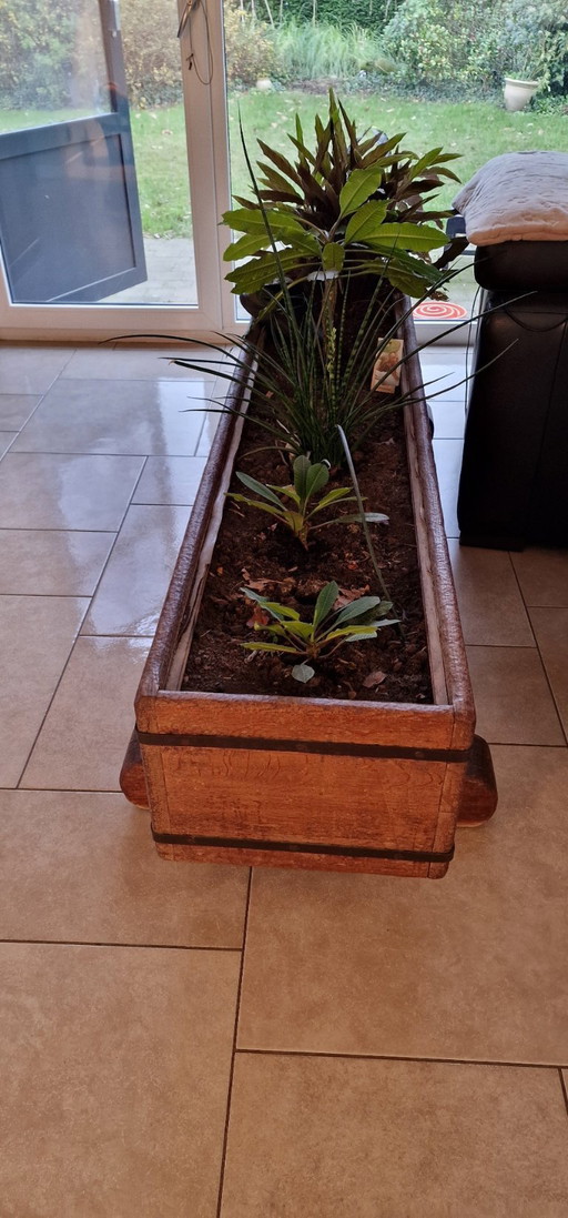 Jardinière en chêne (grande) d'intérieur