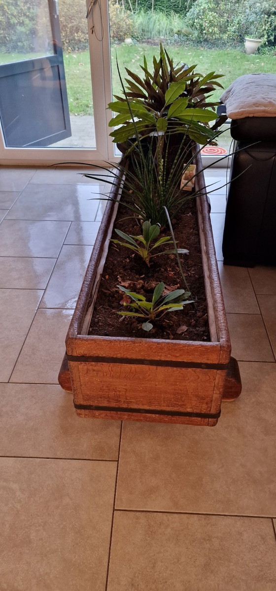 Image 1 of Jardinière en chêne (grande) d'intérieur