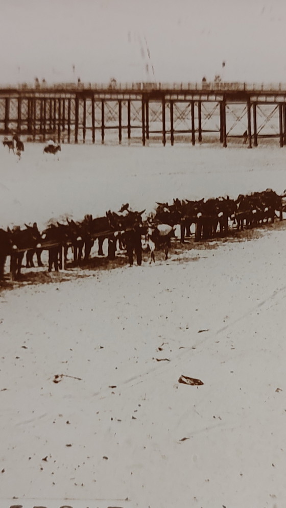 Image 1 of Belle-Epoque-Tablett Blankenberge