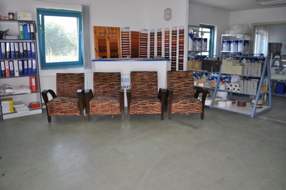 Set of Art Deco Armchairs, 1920s (photo 7 of 7)