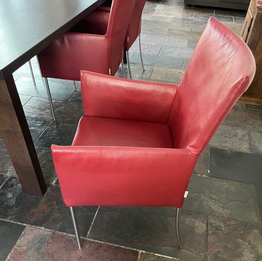 6 Ledersessel – Bert Plantagie, eetkamerstoelen, Leather, rvs (photo 2 of 5)