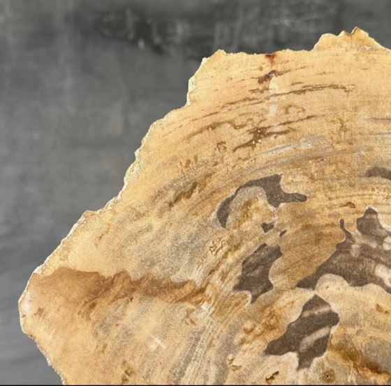 Image 1 of Bois fossilisé de Sooka, fabrication sur mesure standard (neuf)