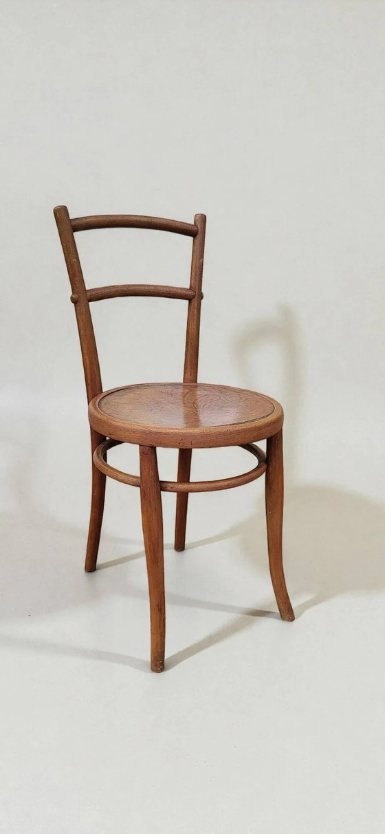 Sedia Bentwood, 1900, Ungvar – Sedie da pranzo, Vintage (photo 3 of 10)