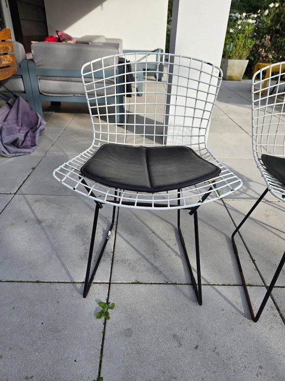 3 vintage Harry Bertoia chairs (Knoll) – Dining chairs, Metal (photo 2 of 8)