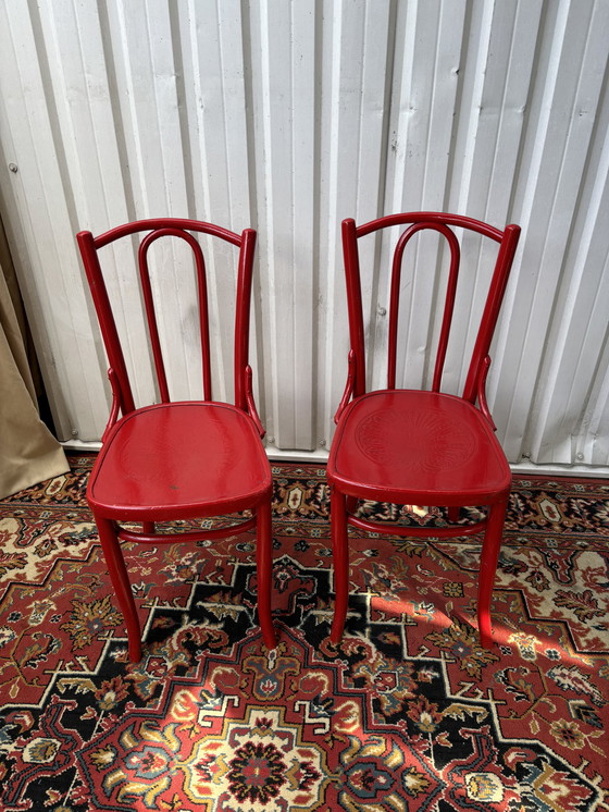 Image 1 of Vintage Thonet stoelen Mundus