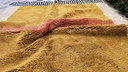 Marokkaans wollen tapijt, Beni ourain, 300x200cm