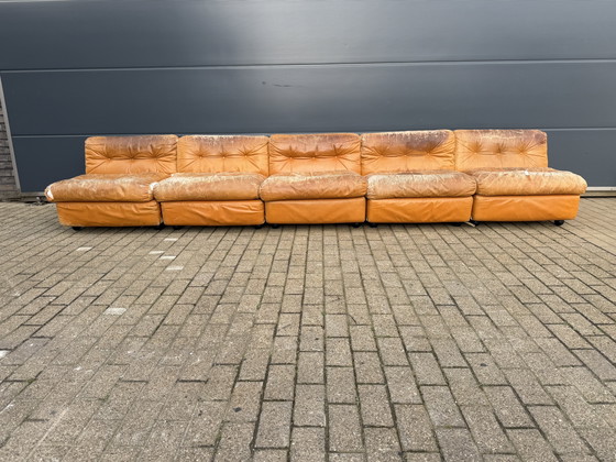 Image 1 of 5x B&B Italia Amanta original de Mario Bellini