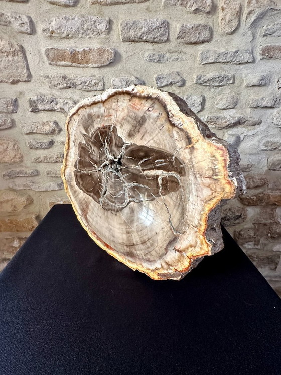 Image 1 of VIDE POCHE VINTAGE XXL 70