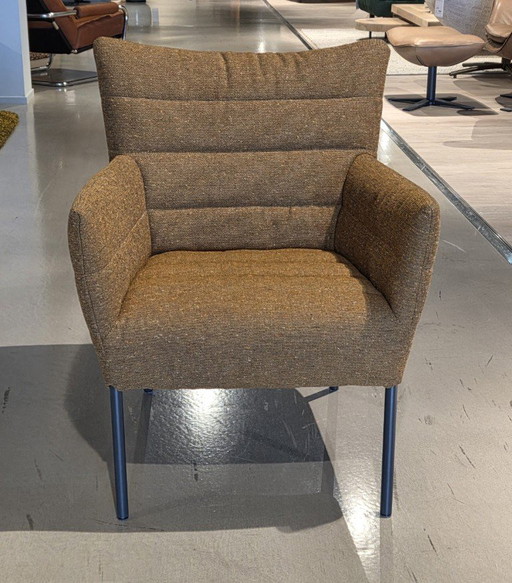 Label Cocoon Lounge fauteuil – Label Vandenberg