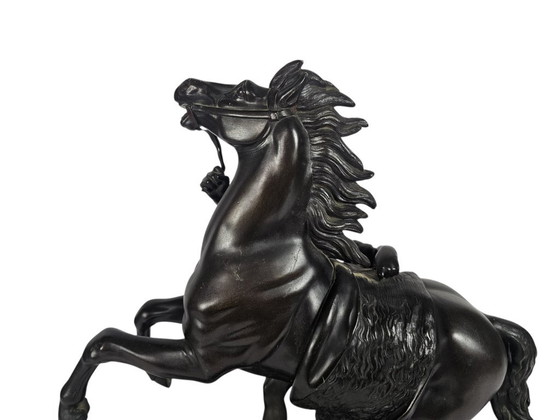 Guillame Coustou - 'Chaval de Marly' - bronze - signed - 19th century – Guillaume Coustou, Sculpture (photo 6 of 6)