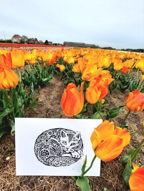 Image 1 of Gatto inciso a mano