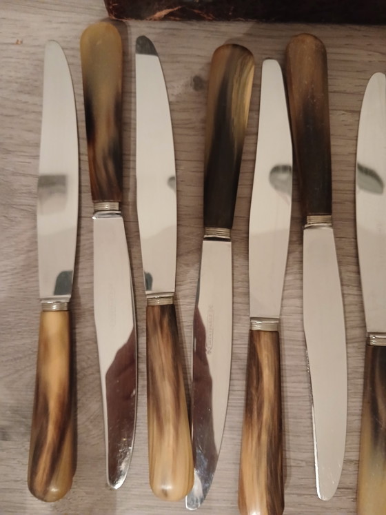 Cofanetto da Collezione 1920 1930 in Corno Bovino Posateria di Thiers Francia Chiusura in Ottone e Acciaio (photo 7 of 12)