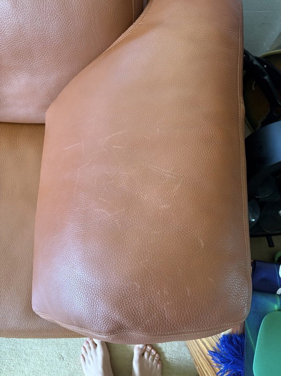 Original de Sede DS-17 Modular Leather Sofa Set – Cognac – Switzerland – Modular sofas (photo 7 of 28)