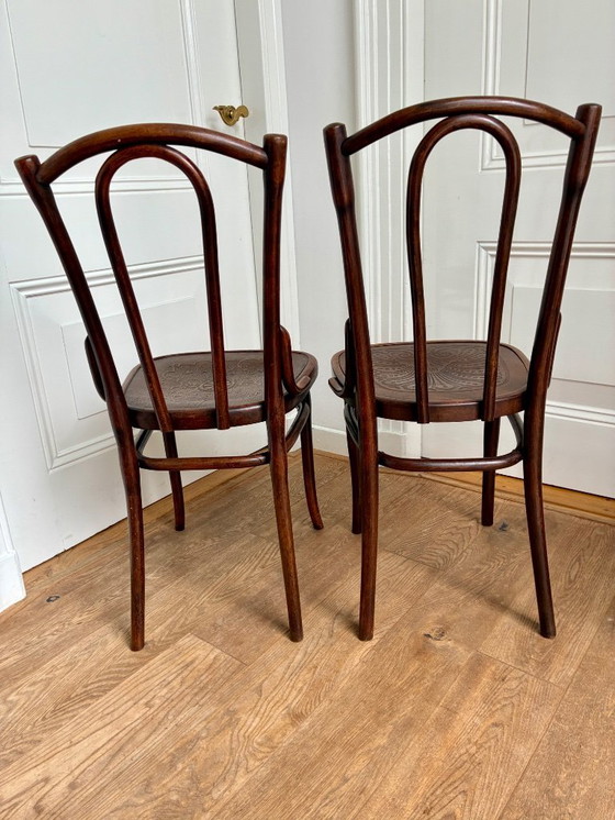 Image 1 of 6 sillas Thonet n.º 56