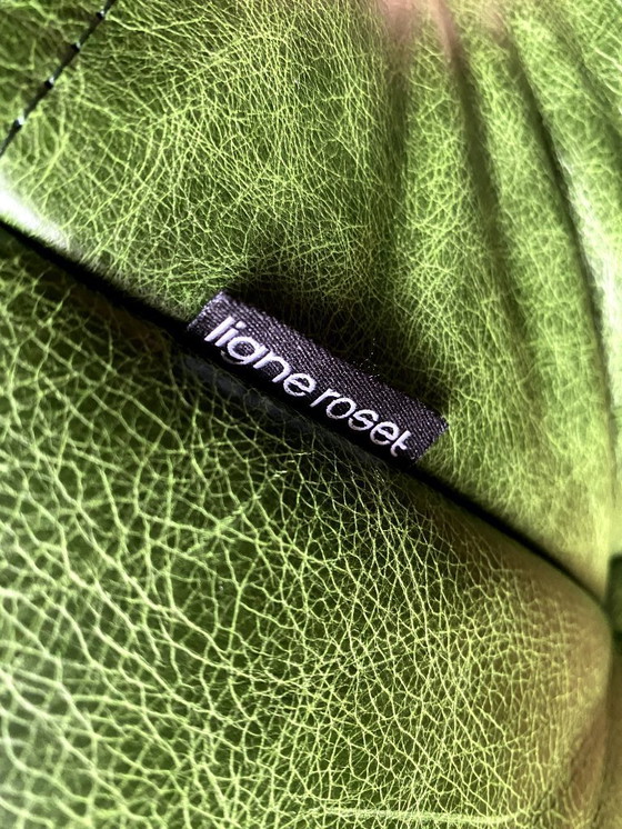 Image 1 of Ligne Roset - Togo - Poltrona/1 posto - Pelle verde Dubai