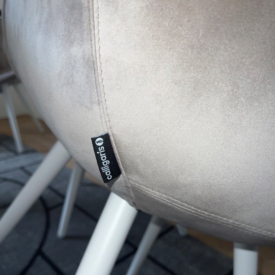 Image 1 of 4 sedie Calligaris Igloo | Velluto