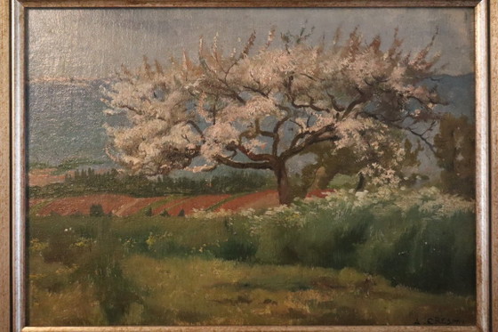 Dipinto di A. Cresti, Paesaggio con albero in fiore, Dipinti e disegni, Legno, Tela, Verde (foto 11 di 12)
