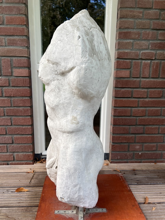 Torso Maschile Gesso Pezzo Unico – Arte, Metal, Other (photo 2 of 5)