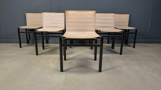 Image 1 of 6er-Set "Mastro" Esszimmerstühle von Afra & Tobia Scarpa für Molteni, Italien, 1980er Jahre
