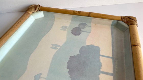 Image 1 of Catherine Escalon DIENBLAD VINTAGE FIBREGLAS