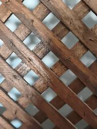 Vintage kamerscherm van Chinees iepenhout – Kamerschermen, Wood (photo 3 of 6)