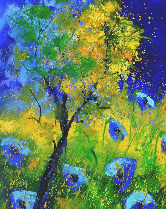 Image 1 of Papaveri blu 67