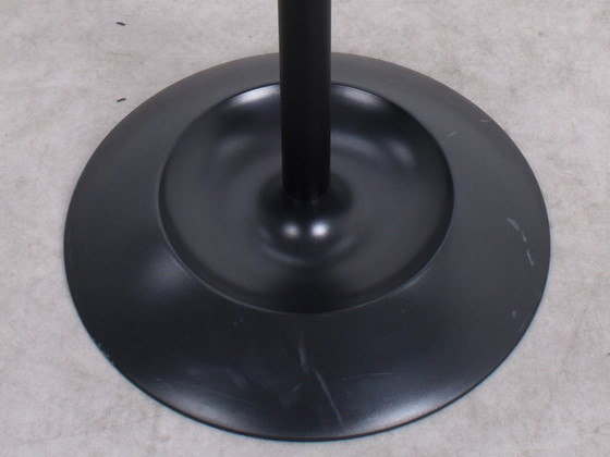 Image 1 of Appendiabiti Rexite Cactus