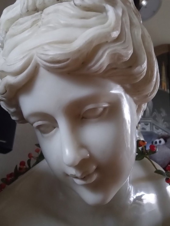 Image 1 of Vénus accroupie, marbre grandeur nature