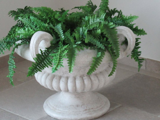 Image 1 of Paolo Marioni decorative pot / table with ferns