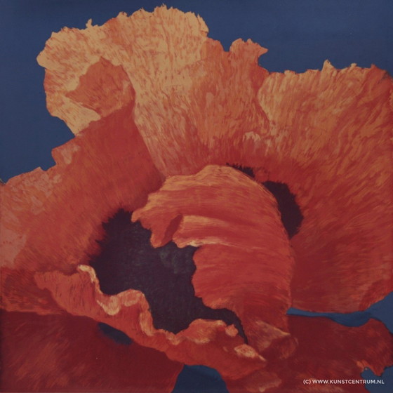 Image 1 of Sérigraphie Hans Dolieslager