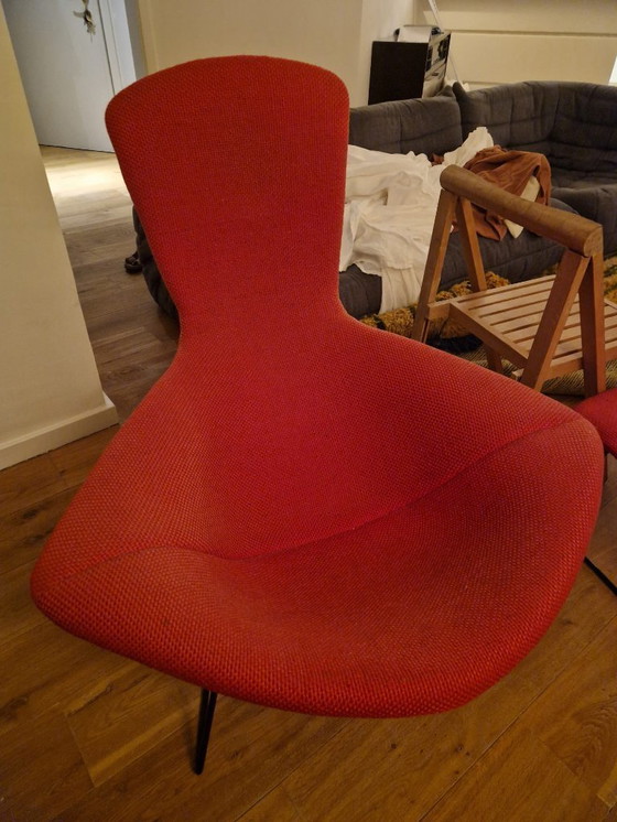 Image 1 of Sedia Knoll Bird + Pouf Harry Bertoia