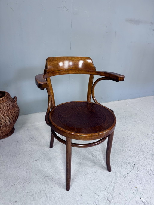 Chaise Thonet Cosmos