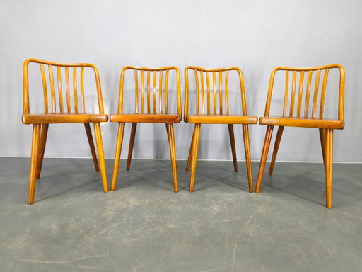Antonin Suman per TON Dining Chairs, anni '60, set di quattro