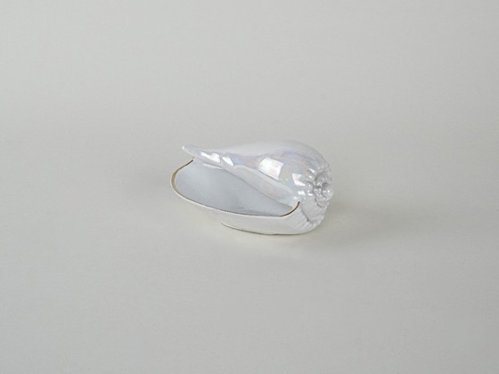 Image 1 of Porcelain Seashell, Italian Design, 1970s, Manufactured in Italy