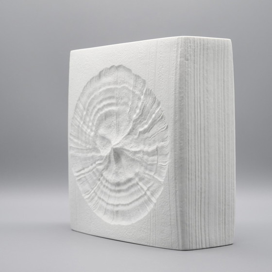 Image 1 of Martin Freyer Rosenthal Studio Line Bisque Porcelain Vintage H 24 cm Fossil Vase