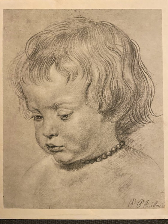 Peter Paul Rubens (1577-1640) - Son Nicolas – Paintings & Drawings, Paper (photo 3 of 5)