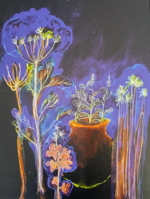 Giardino Notturno