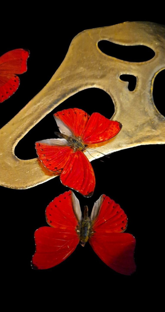 Image 1 of Véritables papillons sur or 23 carats Masque Scream taxidermie œuvre d'art dans un cadre