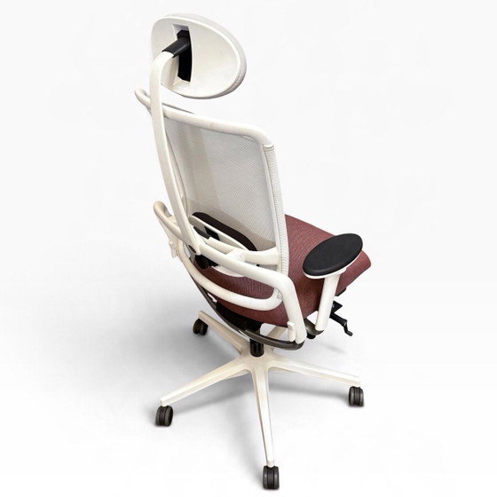 Grahl Xenium EN1335 e NPR1813 nuovo – nowystyl, Sedie da ufficio, Plastica, Tessile (photo 10 of 10)