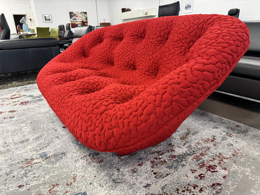 Ligne Roset Ploum