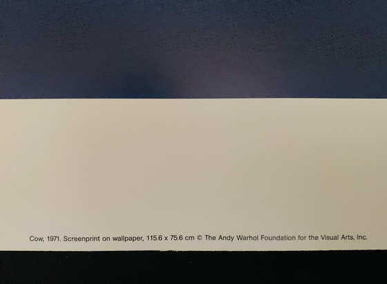 Image 1 of Andy Warhol, Gesigneerd Met Registratie In Impressum Copyright 'De Andy Warhol Foundation For The Visual Arts, Inc.' Offsetlitho