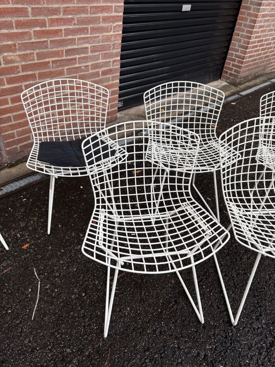Image 1 of 6 sedie laterali originali Harry Bertoia per Knoll