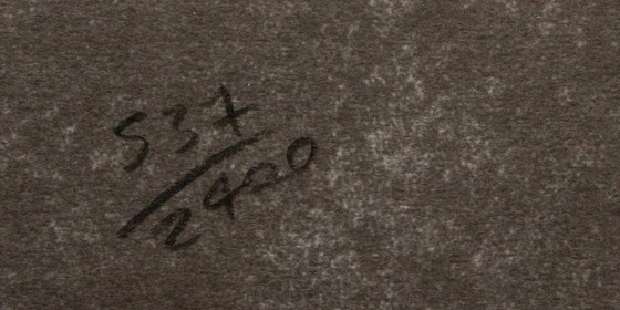 Image 1 of 1986 Carnegie Museum of Art Dopo Andy Warhol "Marilyn Monroe" litografia