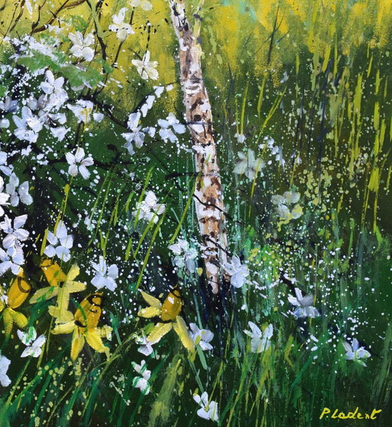 Image 1 of spring 2026